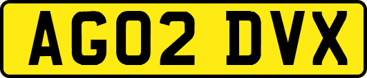 AG02DVX