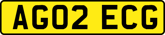 AG02ECG