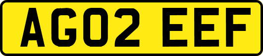 AG02EEF