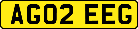 AG02EEG