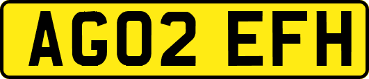 AG02EFH