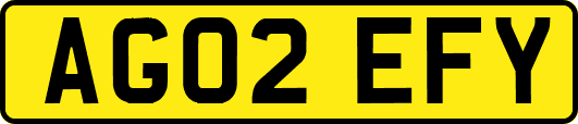 AG02EFY