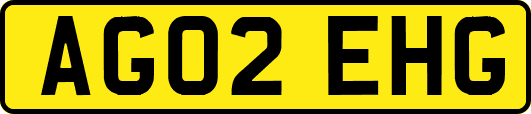 AG02EHG