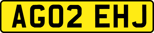 AG02EHJ