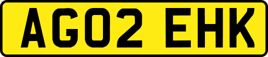 AG02EHK