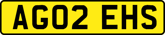 AG02EHS