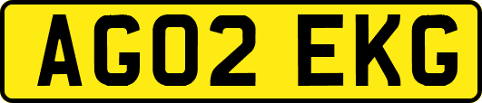 AG02EKG