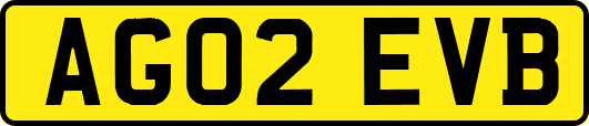 AG02EVB