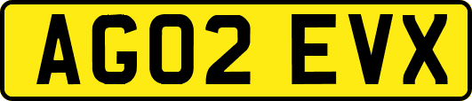 AG02EVX