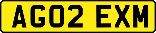 AG02EXM