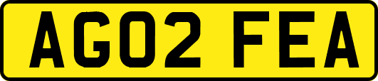 AG02FEA