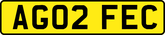 AG02FEC