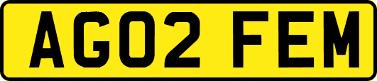 AG02FEM