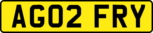 AG02FRY