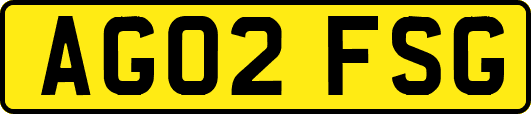 AG02FSG