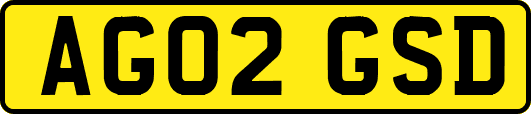 AG02GSD