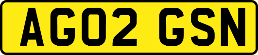 AG02GSN