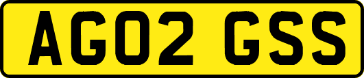 AG02GSS