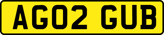 AG02GUB