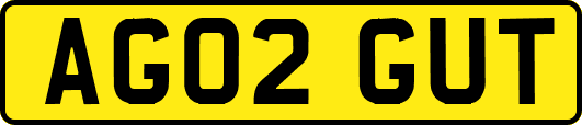 AG02GUT