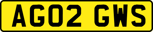 AG02GWS