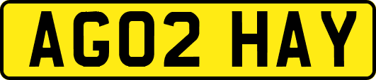 AG02HAY