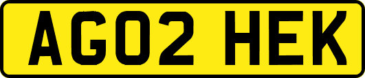 AG02HEK