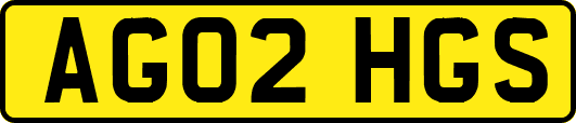 AG02HGS
