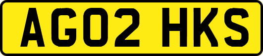 AG02HKS