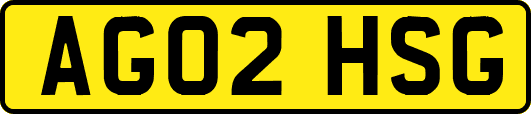 AG02HSG