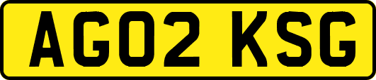 AG02KSG
