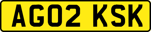 AG02KSK