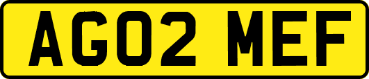 AG02MEF