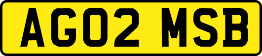 AG02MSB