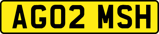 AG02MSH