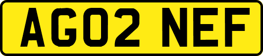AG02NEF