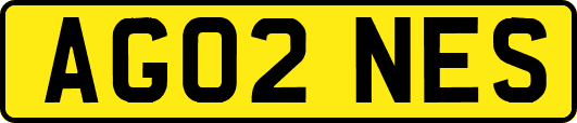 AG02NES
