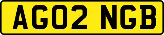 AG02NGB