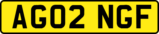AG02NGF