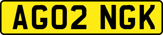 AG02NGK