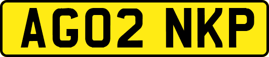 AG02NKP