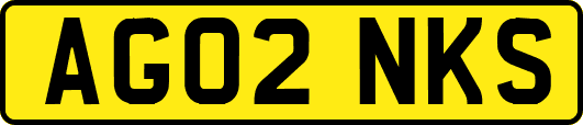 AG02NKS