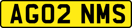AG02NMS