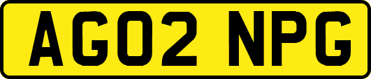 AG02NPG