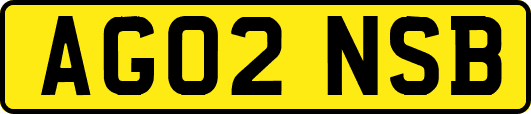 AG02NSB