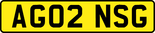 AG02NSG