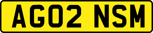 AG02NSM