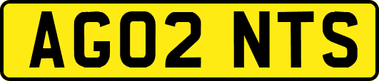 AG02NTS