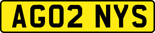 AG02NYS