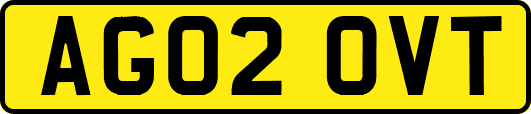 AG02OVT